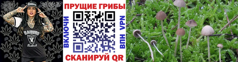 Галлюциногенные грибы прущие грибы  магазин продажи наркотиков  Лесосибирск 