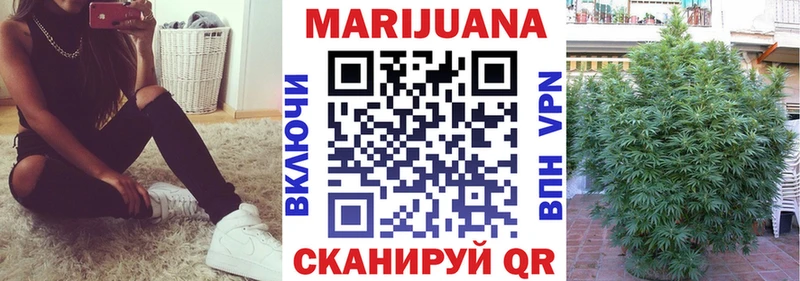 Конопля гибрид  закладки  Лесосибирск 